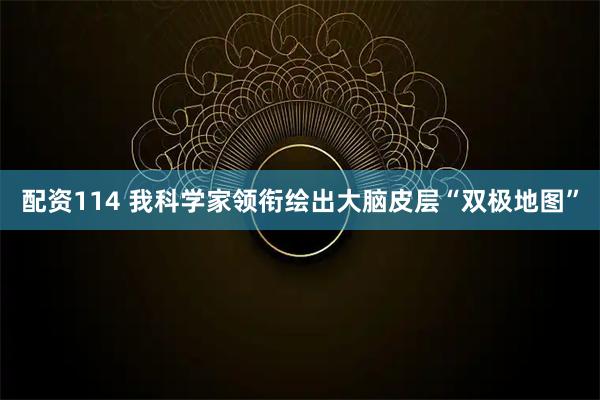 配资114 我科学家领衔绘出大脑皮层“双极地图”
