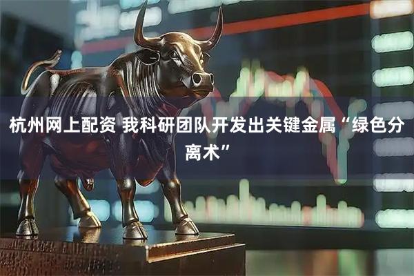 杭州网上配资 我科研团队开发出关键金属“绿色分离术”