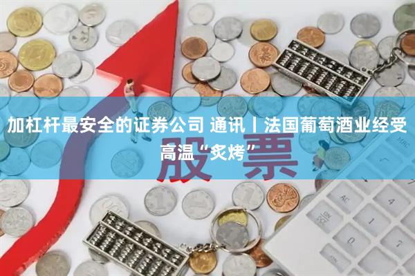 加杠杆最安全的证券公司 通讯丨法国葡萄酒业经受高温“炙烤”